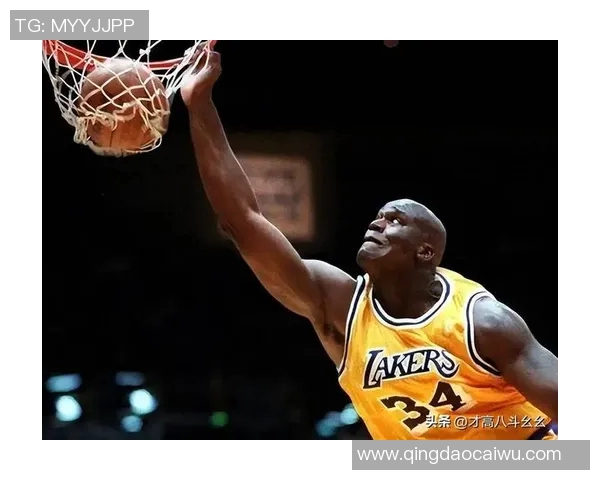 白人篮球明星的崛起与影响力分析及其在NBA的历史地位